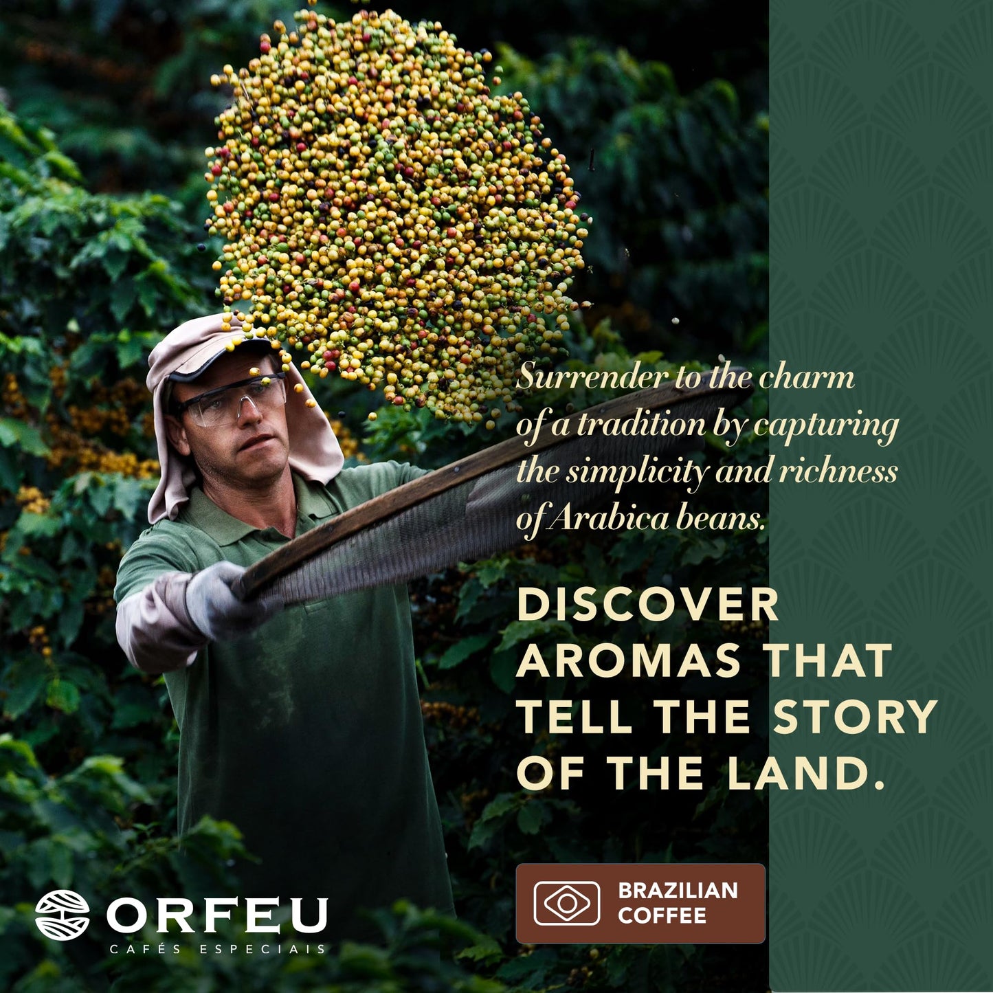 ORFEU - Special Coffee Intense - 100% Arabica Coffee, Dark Roast, Aroma of Toasted Caramel & Fruit Jam, Low Acidity, Made In Brazil, Velvety Body - 250g, 8.8oz