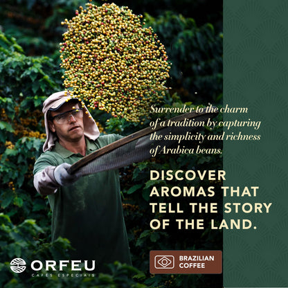 ORFEU - Special Coffee Intense - Drip Sachet - 100% Arabica Coffee, Dark Roast, Aroma of Toasted Caramel & Fruit Jam, Low Acidity, Made In Brazil, Velvety Body - 10 Units, 100g