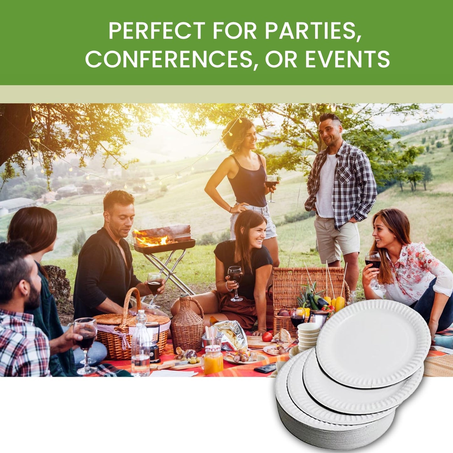 Perfect Stix Paper Plate by Kitchen Essentials, 9" (Pack of 300)