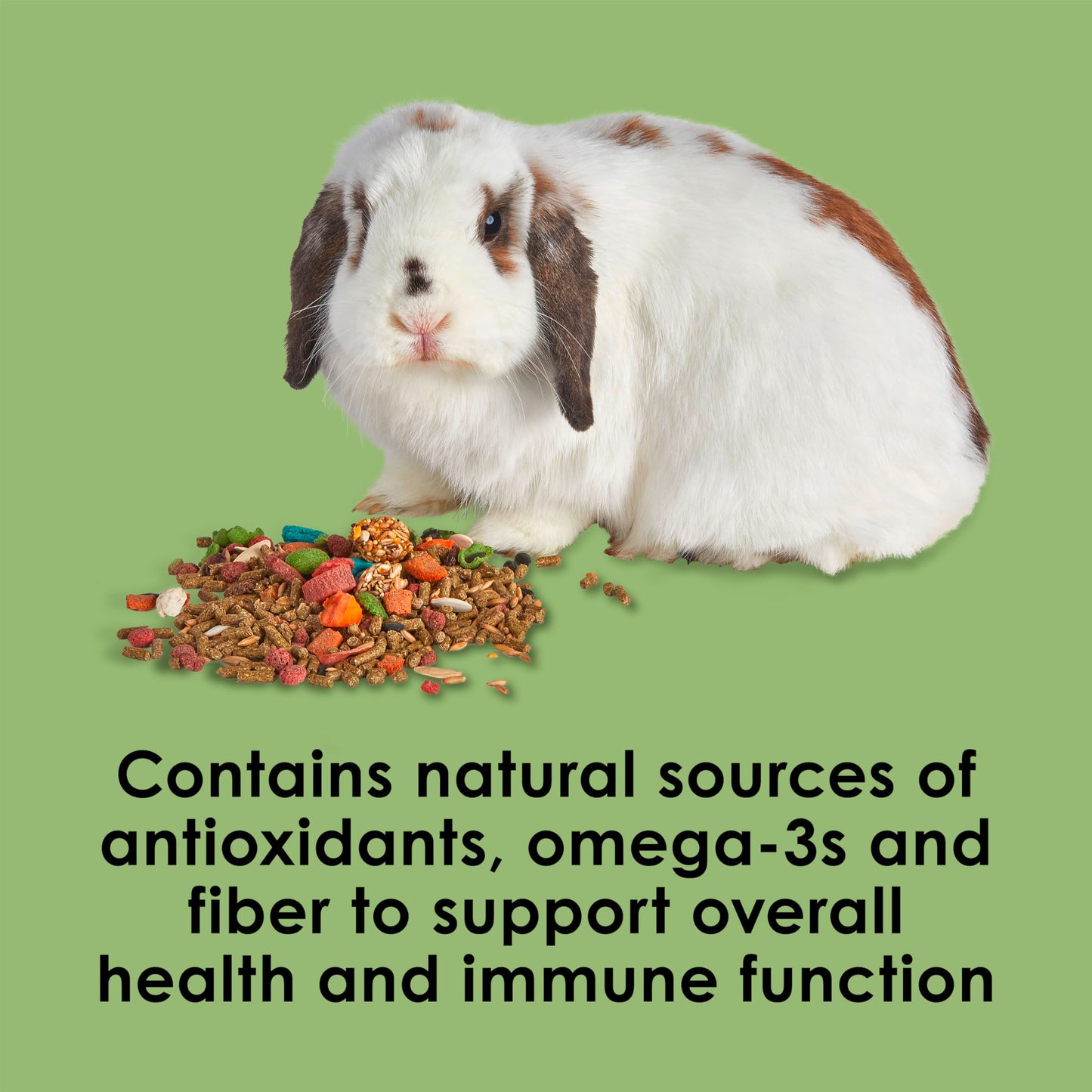 Kaytee Fiesta Rabbit Food, Nutritious and Fun Blend, Supports Dental Health and Digestion, 20 pounds