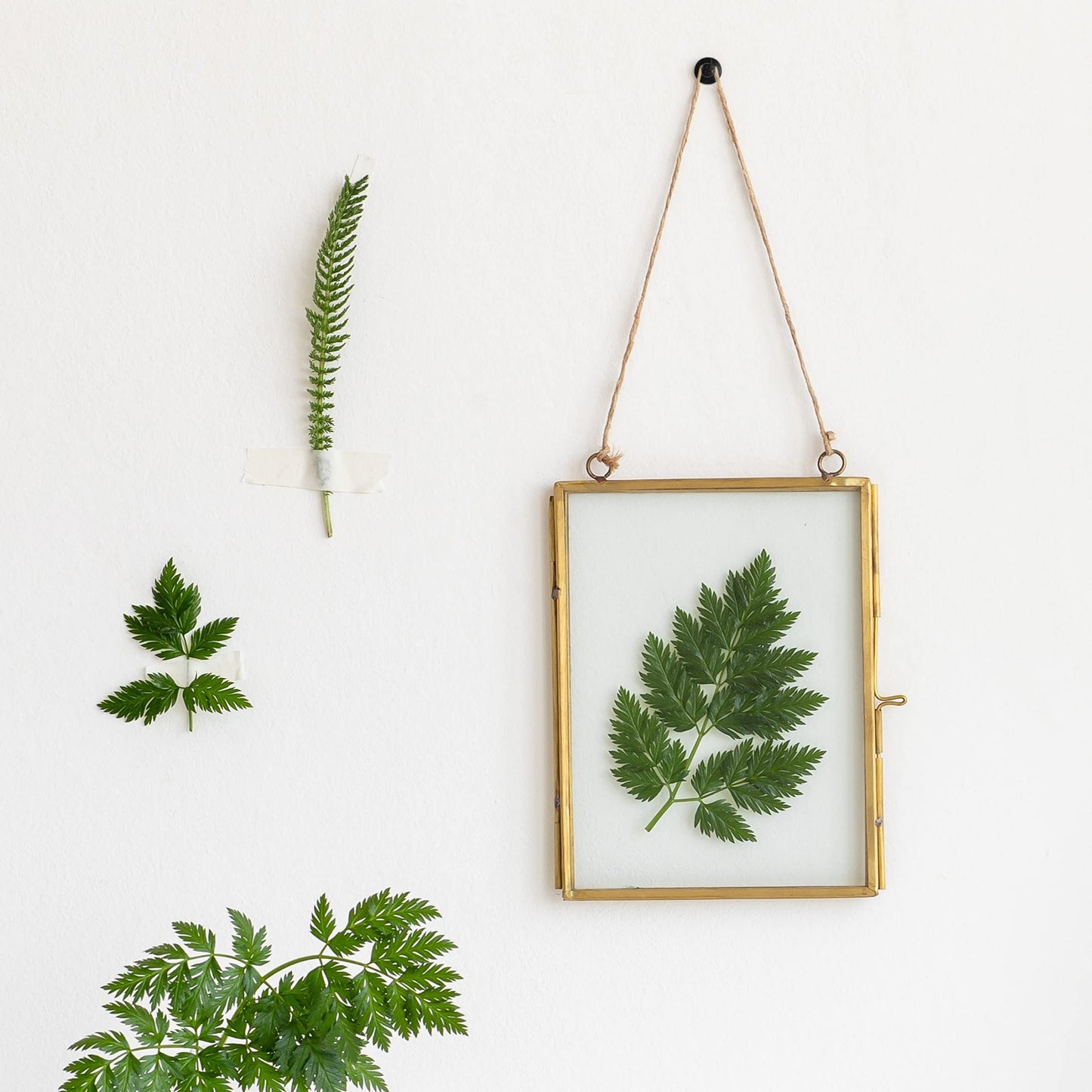 Mr. Pen- Double Headed Picture Hanging Nails, 50 Pack, Black, Push Pins for Wall