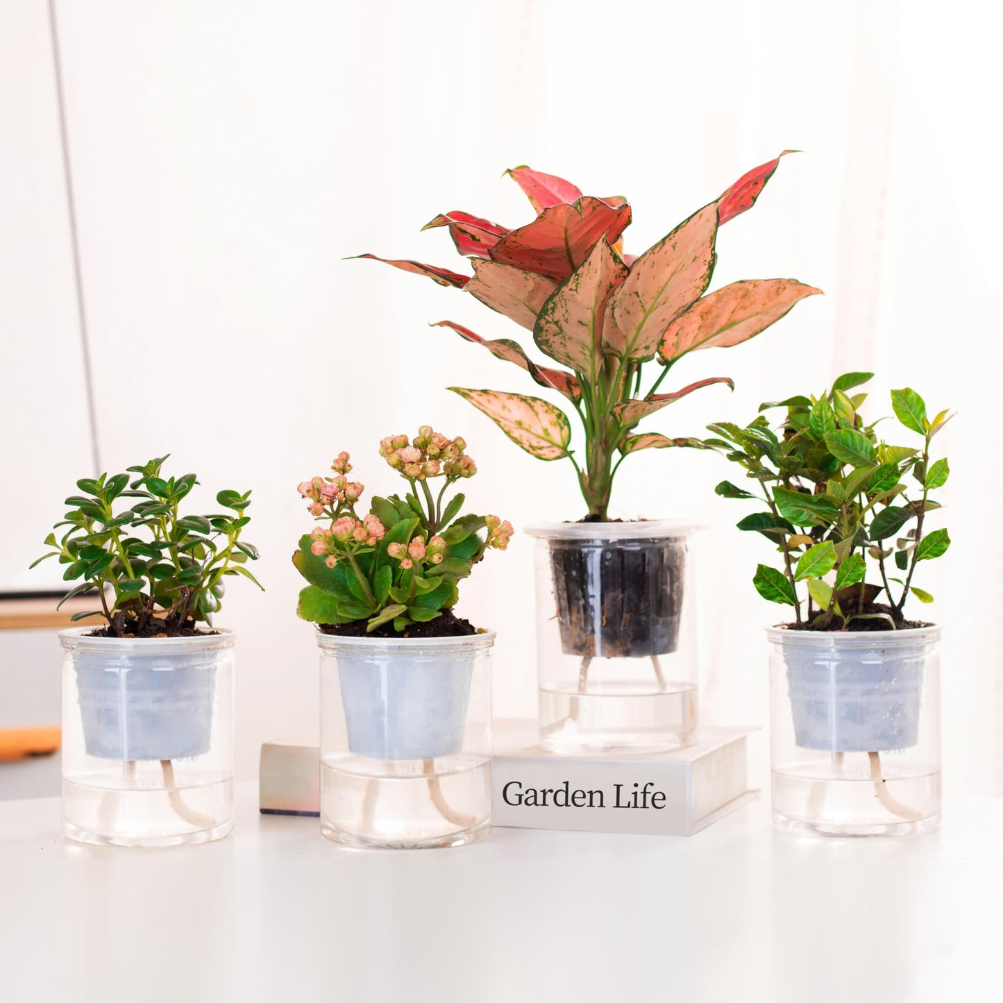 ORIMERC 60 feet 1/6 inch Self Watering Wick Cord for Vacation Self-Watering Planter Pot DIY Automatic Watering Device System Potted Plant Sitter Auto Drip Waterer to Water African Violet