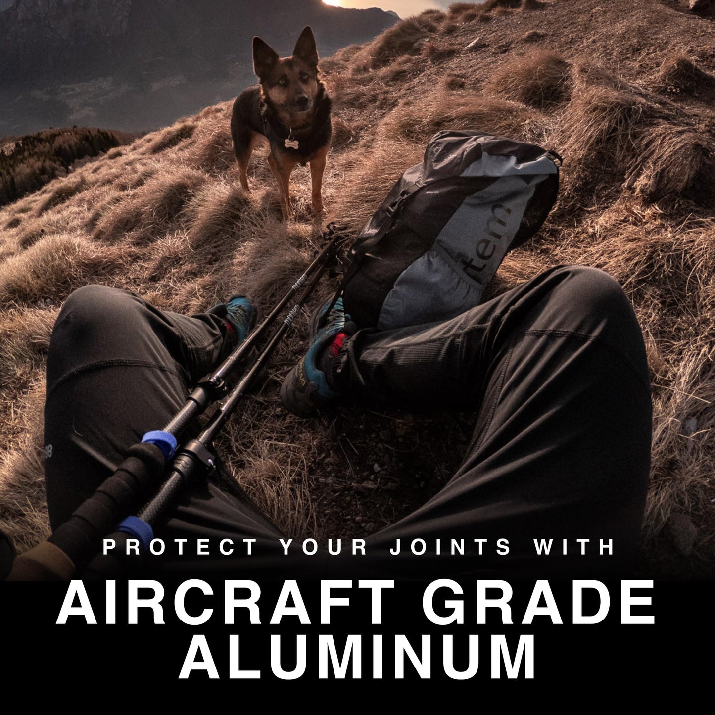 Montem Ultra Strong Trekking, Walking, and Hiking Poles - One Pair (2 Poles) - Collapsible, Lightweight, Quick Locking, Weather-Resistant and Ultra Durable (Black (EVA Foam Grip))