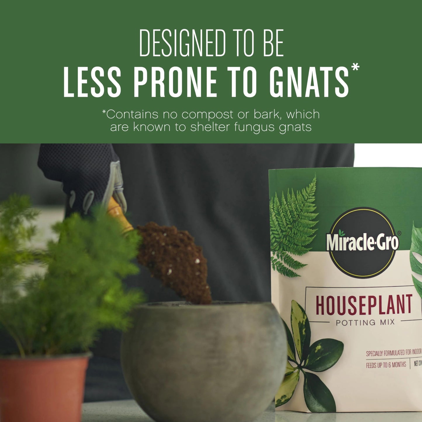 Miracle-Gro Houseplant Potting Mix: Fertilized, Perlite Soil for Indoor Gardening, Designed to Be Less Prone to Gnats, 4 qt.