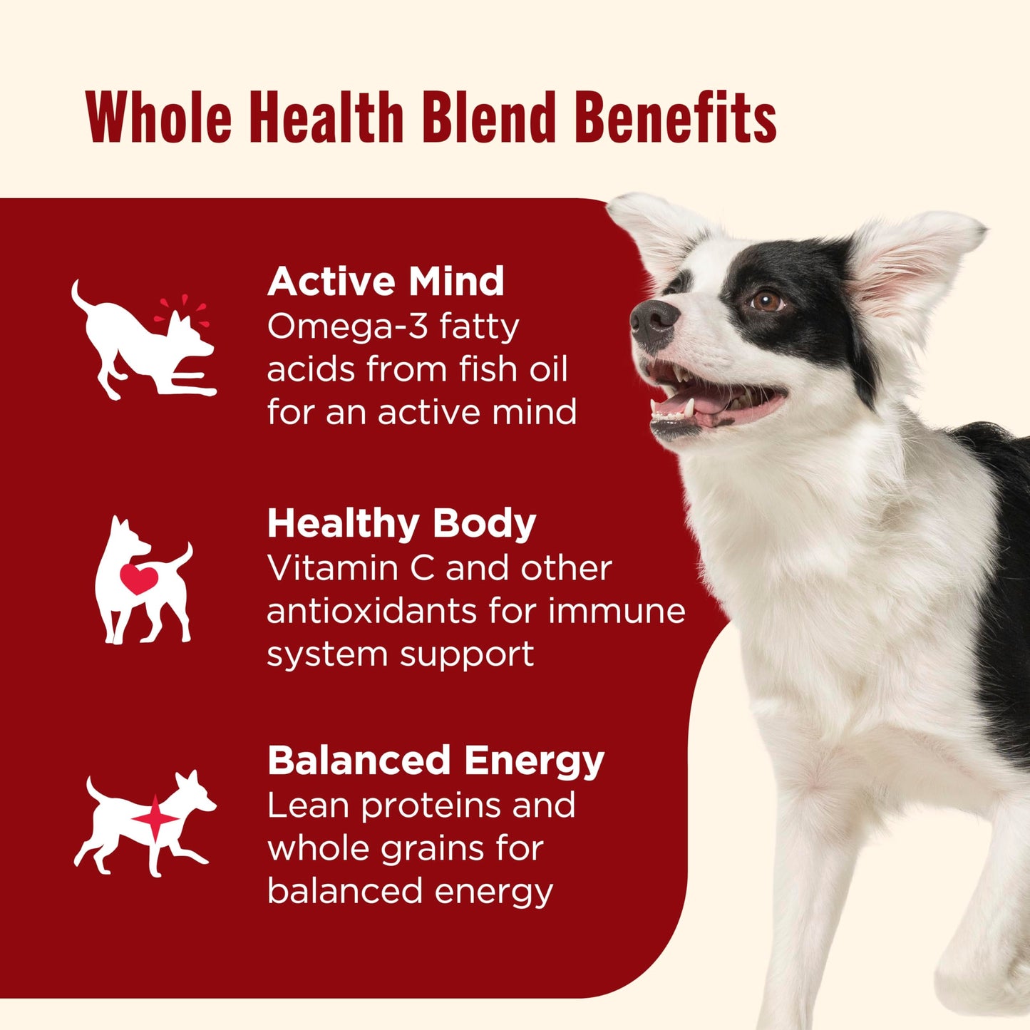 Nutrish Dry Dog Food, Real Beef, Pea & Brown Rice Recipe Whole Health Blend for Adult Dogs, 6 lb. Bag (Rachael Ray)