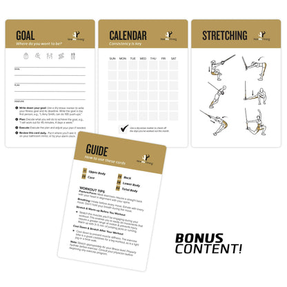 NewMe Fitness Suspension Workout Cards, Instructional Fitness Deck for Women & Men, Beginner Fitness Guide to Training Exercises at Home or Gym (Suspension, Vol 2)