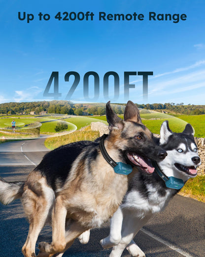 Jugbow Dog Shock Collar 2 Dogs - 4200FT Dog Training Collar with Remote, IPX8 Waterproof E Collar for Dogs Training, Rechargeable Collars for Dogs (10-120lbs)