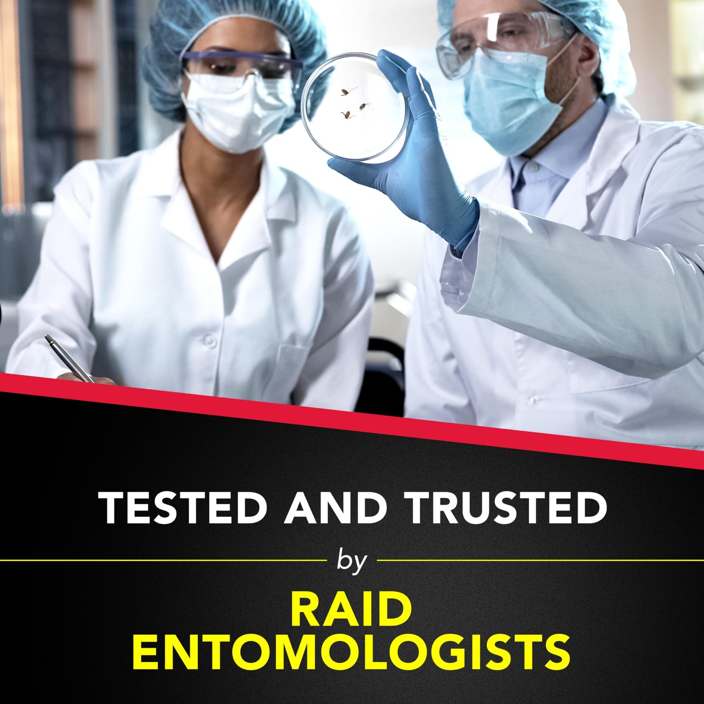 Raid Ant and Roach Killer, Fragrance Free, 17.5 OZ