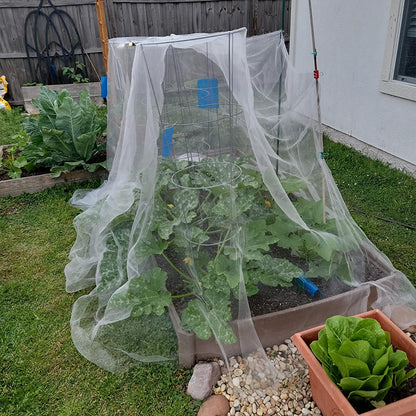 GonLei Garden Netting 10 X 50 FT Ultra Fine Netting for Garden Protection,Garden Netting for Raised Beds,Mosquito Net for Blueberry Shrubs Vegetables Fruits Flowers Crops Pest Barrier