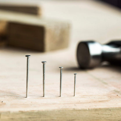 Mr. Pen- Nail Assortment Kit, 600 Pcs, 4 Sizes, Silver, Small Nails for Hanging Pictures, Finishing Nails, Gold Wall Nails for Hanging, Pin Nails, Hardware Nails, Assorted Nails, Galvanized Nails