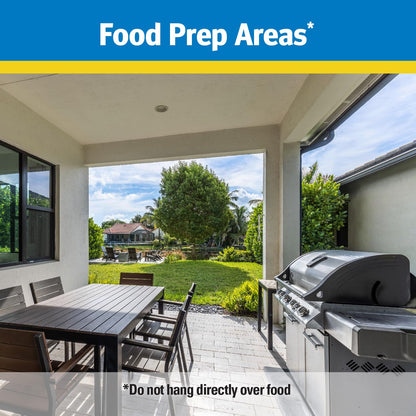 Raid® Fly Ribbon, Fly Traps for Indoors and Outdoors, 4 Pack