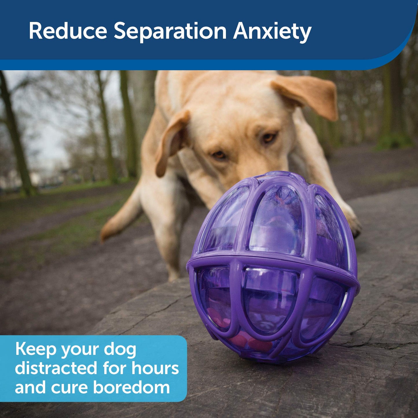 PetSafe Busy Buddy Kibble Nibble - Dog Toy - Treat and Food Dispenser - Slow Feeder - Medium/Large