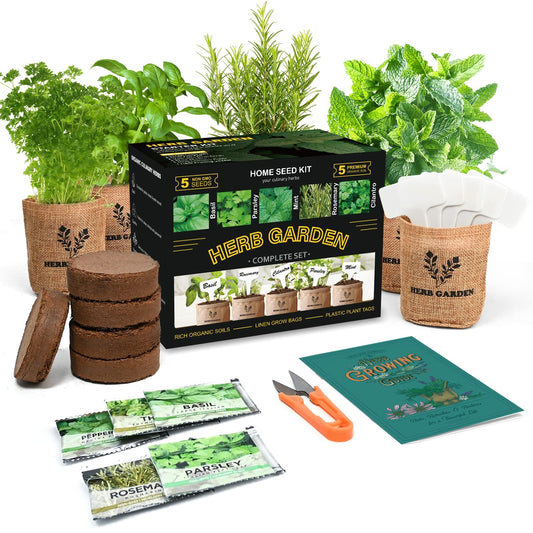 Meekear Indoor Herb Garden Starter Kit, 5 Non-GMO Herb Seeds - Basil, Parsley, Rosemary, Thyme, and Mint with Complete Planting Set for Kitchen Herb Garden DIY