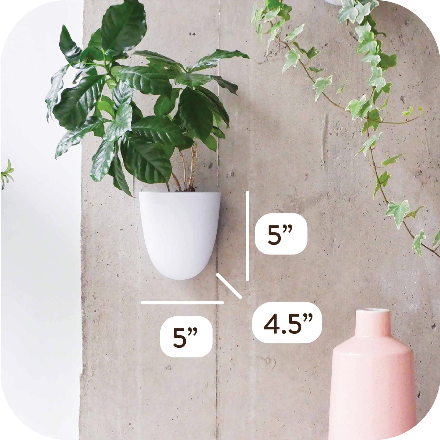 PlantPod Luxe - Self-Watering Wall Planters (Set of 6) - Easy to Water and Install - Lightweight - Design Your Own Vertical Garden - Wall Planters for Indoor Plants