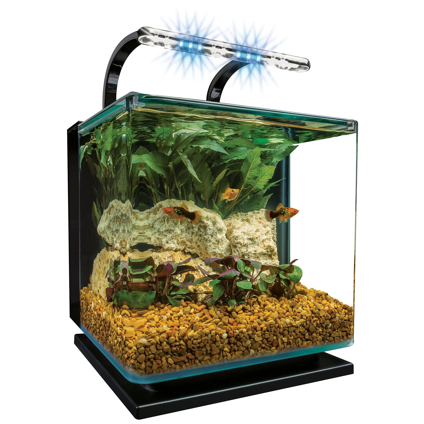 Marineland Contour 3 Aquarium Kit 3 Gallons, Rounded Glass Corners, Includes LED Lighting