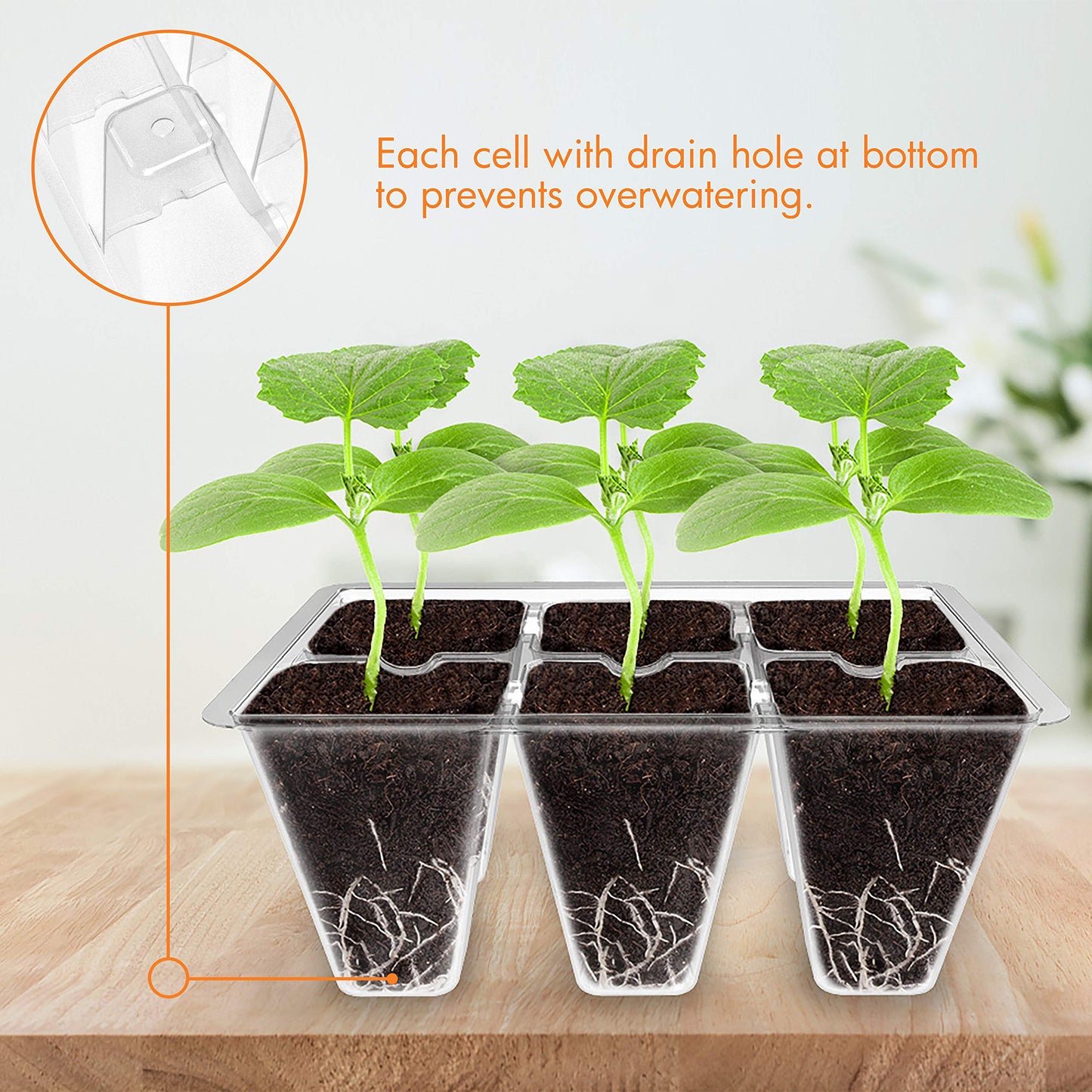 Gardzen 3 Pack Seed Starter Tray Germination Kit, Seed Starter Kit with Adjustable Humidity Dome, Plant Growing Kit 6.6" x 4.5" (12-Cell per Tray), Clear