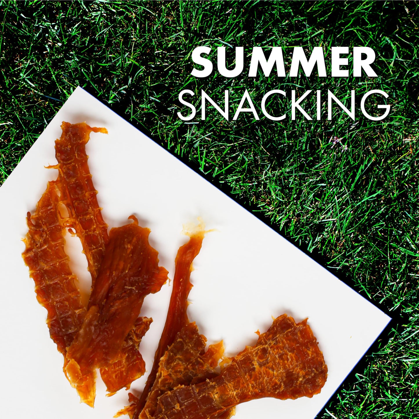 Pur Luv Dog Treats, Chicken Jerky for Dogs, Made with 100% Real Chicken Breast, 16 Ounces, Healthy, Easily Digestible, Long-Lasting, High Protein Dog Treat, Satisfies Dog's Urge to Chew