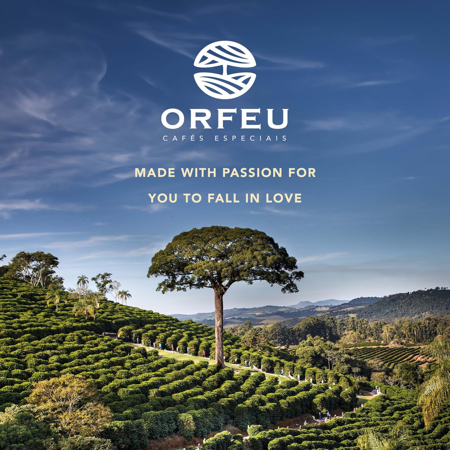 ORFEU - Special Coffee Intense - Drip Sachet - 100% Arabica Coffee, Dark Roast, Aroma of Toasted Caramel & Fruit Jam, Low Acidity, Made In Brazil, Velvety Body - 10 Units, 100g
