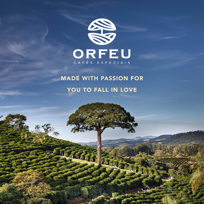 ORFEU - Special Coffee Intense - Drip Sachet - 100% Arabica Coffee, Dark Roast, Aroma of Toasted Caramel & Fruit Jam, Low Acidity, Made In Brazil, Velvety Body - 10 Units, 100g