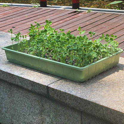 Mr. Pen-Plastic Growing Trays, 5 Pack, Plant Tray, Seed Tray, Propagation Tray