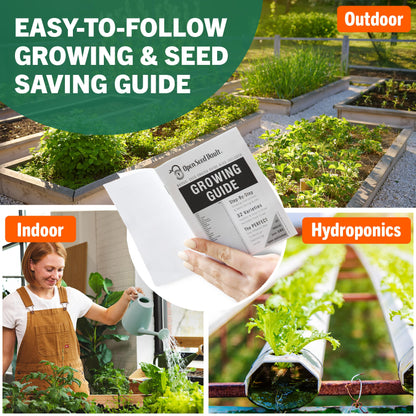 Open Seed Vault Variety Pack Bundle (44 Varieties) Herb Garden Seeds - Gardening Seed Starter Kit, Survival Gear Food, Gardening Gifts, Emergency Supplies - Premium, High Yield Produce