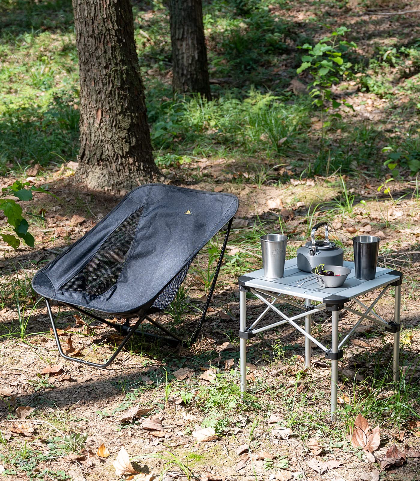 iClimb Low Ultralight Compact Camping Folding Chair with Side Pocket and Carry Bag (Black)