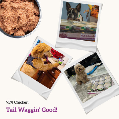 Health Extension 95% Chicken Entrée Wet Dog Food Grain-Free – 5.5 oz – Protein-Rich Formula, Hydration Support, Ideal for Sensitive Stomachs (Case of 24 Cans)