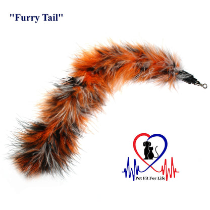 Pet Fit For Life 3 Piece Dual Rod Feather Teaser and Exerciser with a Slithering Snake for Kitten and Cats - Cat Toy Interactive Cat Wand