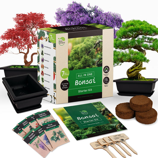 REALPETALED Bonsai Starter Kit – Japanese Bonsai Tree Kit 7 Seeds Pots – Complete Grow Your Own – Plant Lover Gifts Home Gifts for Men and Women