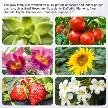 iPower LED Grow Light Strips Full Spectrum for Indoor Plants with Auto ON/Off 3/9/12H Timer, 10 Dimmable Levels 48 LEDs Per Tube, Sunlike Grow Lamp for Hydroponics Succulent, 1 Pack, Red&Blue, 4 Tubes