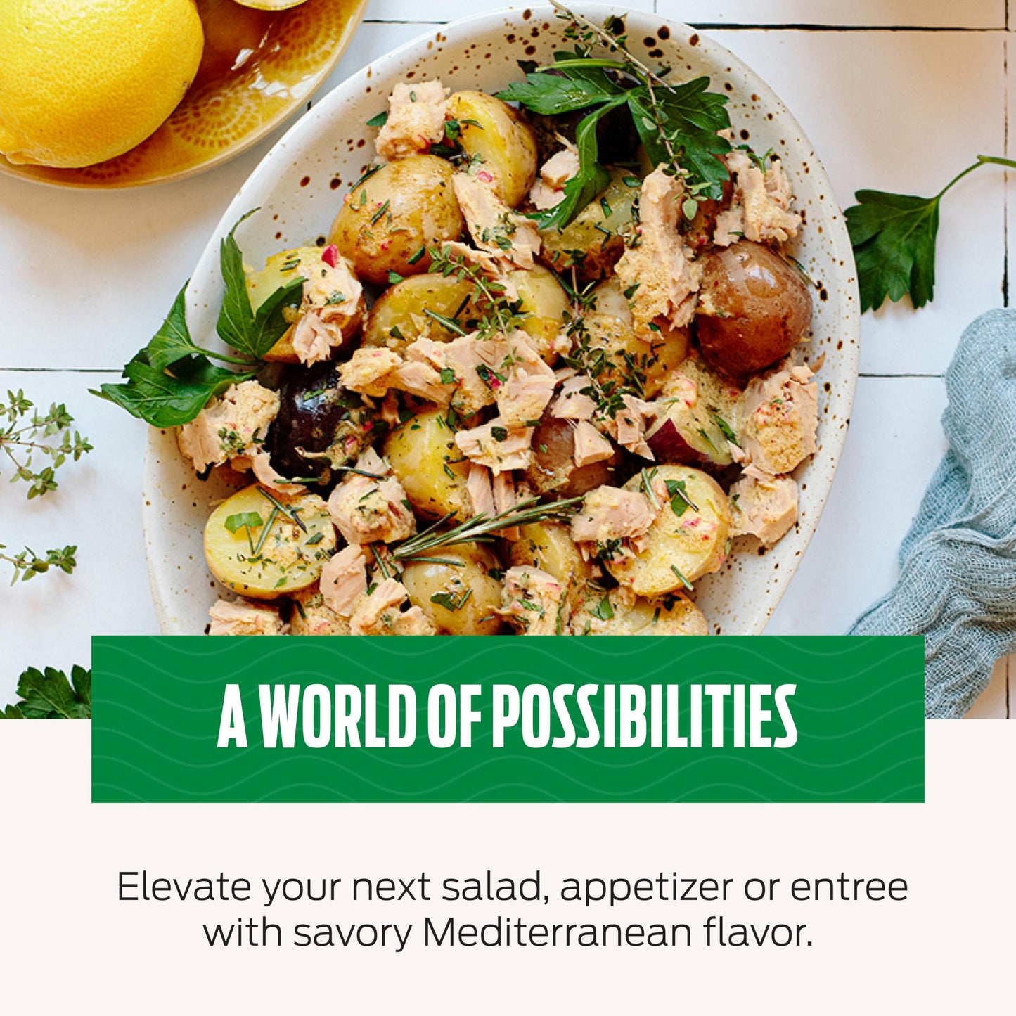 Genova Premium Solid Light Tuna in Olive Oil, 5 Ounce Cans, 12-Pack – Nutrient Rich, High Protein Canned Tuna Fish - Delicious, Easy, Nutritious Ready to Eat Meals