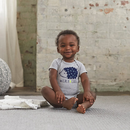 Gerber Baby Boys 5-Pack Short Sleeve Variety Onesies Bodysuits Hedgehog 0-3 Months