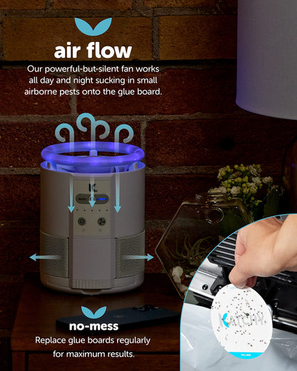 Katchy Indoor Fly Trap - Catcher & Killer for Mosquito, Gnat, Moth, Fruit Flies - Non-Zapper Traps for Buzz-Free Home (8-Pack Glue Boards for Duo Model, White)