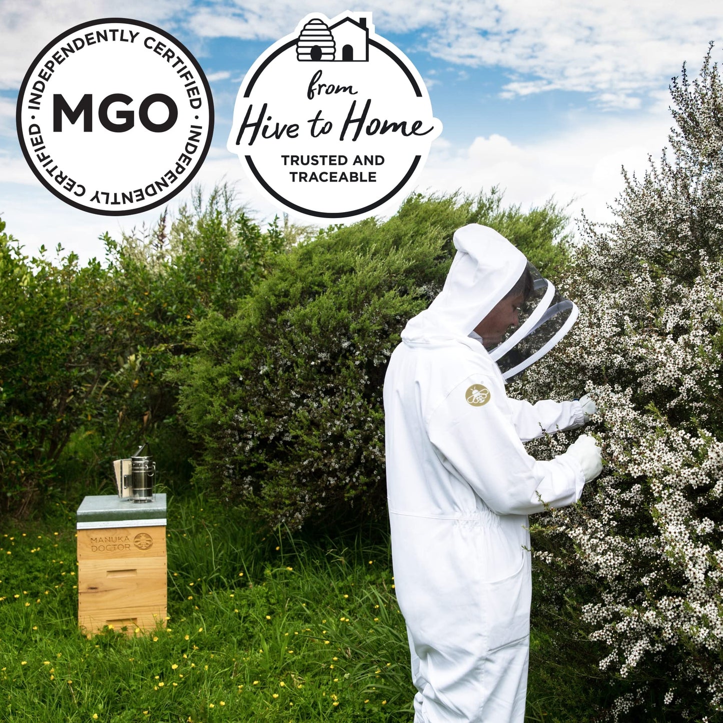 MANUKA DOCTOR - MGO 925+ Manuka Honey Monofloral, 100% Pure New Zealand Honey. Certified. Guaranteed. RAW. Non-GMO (8.75 oz)