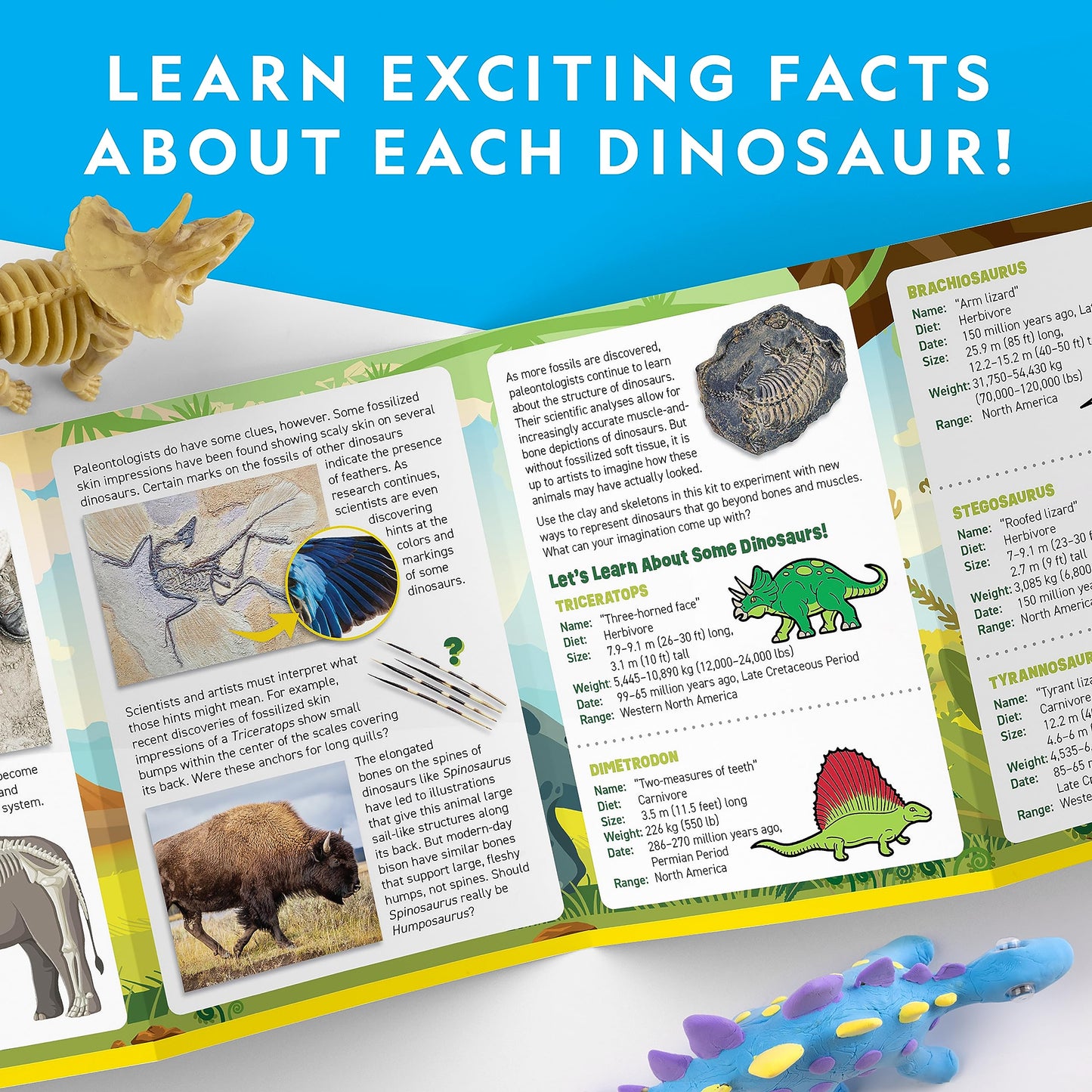 NATIONAL GEOGRAPHIC Clay Dinosaur Arts & Crafts Kit - Dinosaur Air Dry Clay for Kids with 5 Clay Colors, 5 Dino Skeletons & Googly Eyes, Dinosaur Activity for Girls and Boys Ages 4 5 6 7 8 9 & 10