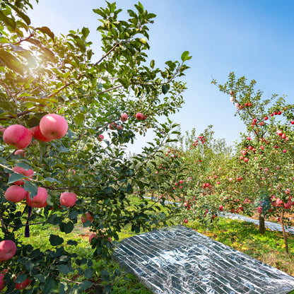 Plant Growth Mylar Films High Reflective Mylar Film Garden Greenhouse Covering Foil Sheets for First Aid Blanket Growth Room Camping Simple Tent,82.6 x 51.2 Inch(2 Pieces)