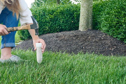 Miracle-Gro Plant Food Spikes Bundle for Fruit and Citrus Plus Trees and Shrubs, For Deciduous, Evergreen and Flowering Trees and Shrubs, 24 Spikes