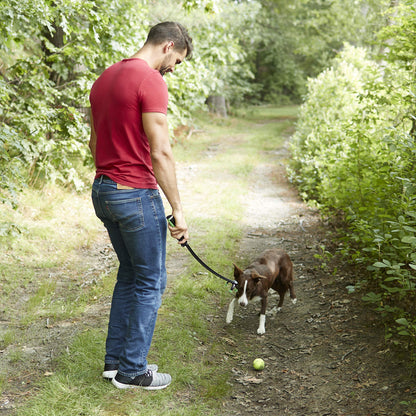 Franklin Pet Supply Co. Tennis Ball Launcher for Dogs - Dog Thrower Fetch - Perfect Toy for Large + Small Breeds