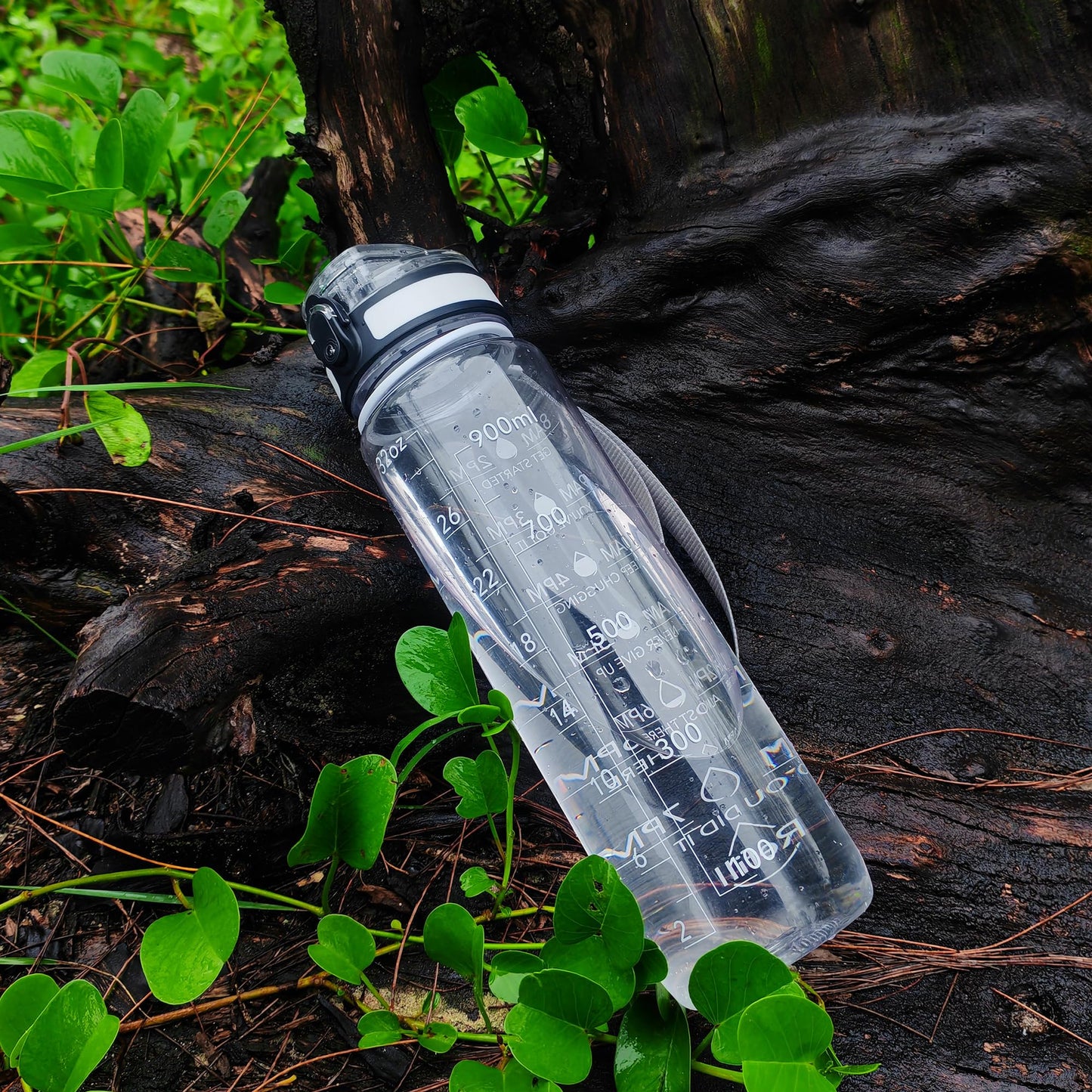 OLDLEY Water Bottle, 32oz Motivational Sports Water Bottle with Time Marker - Times to Drink - Tritan, BPA Free, Wide Mouth Leakproof, Clear (1 Bottle)