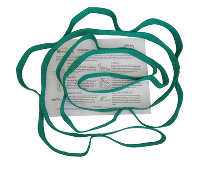 Physical Therapy Stretch Strap by Morning Sky - 10-Loop 73-inch Rehab Strap with Instructional Guide for Rehab, Stretching, Yoga.