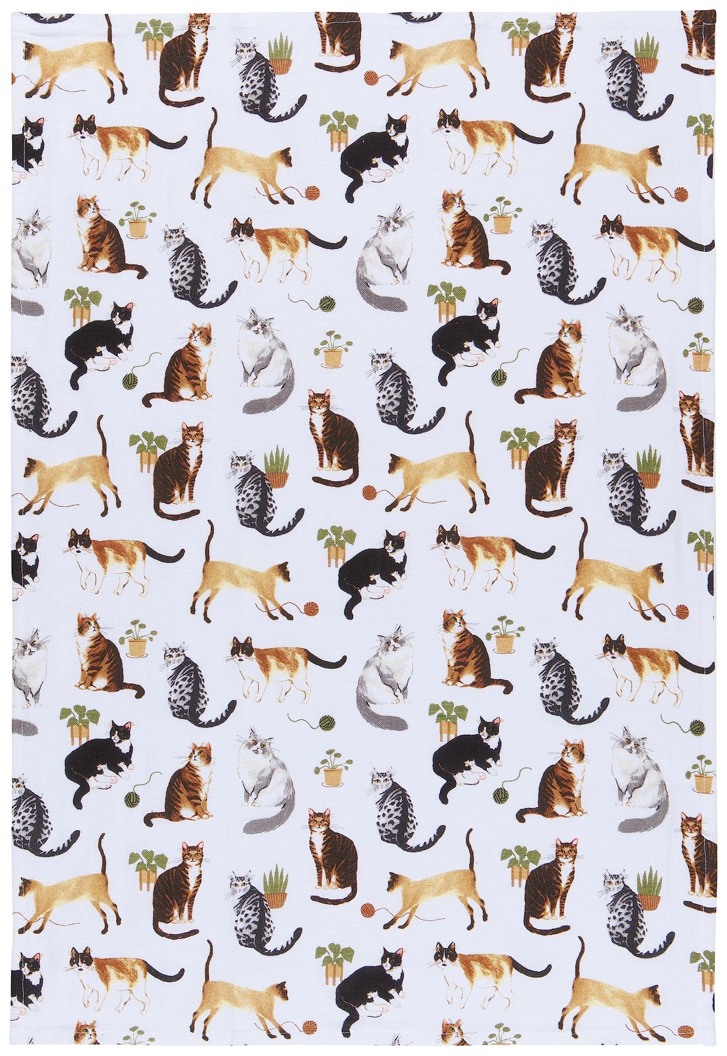 Now Designs Floursack Kitchen Towels Quick Dry Cotton Hand Towel Set, 3 Count, Cat Collective, 20 x 30 in