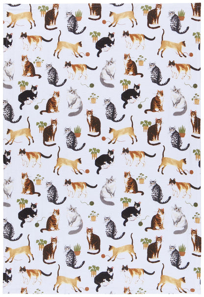 Now Designs Floursack Kitchen Towels Quick Dry Cotton Hand Towel Set, 3 Count, Cat Collective, 20 x 30 in