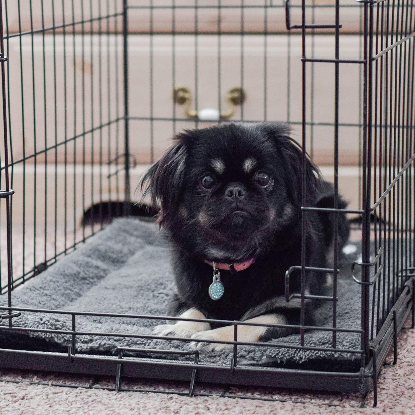 K&H PET PRODUCTS Self-Warming Cat Bed Pad, Self Heating Pad for Outdoor Cat Houses, Warming Mat for Indoor Pet Beds & Furniture, Reversible Blanket, Machine Washable - Small 21 X 17in Gray/ Black