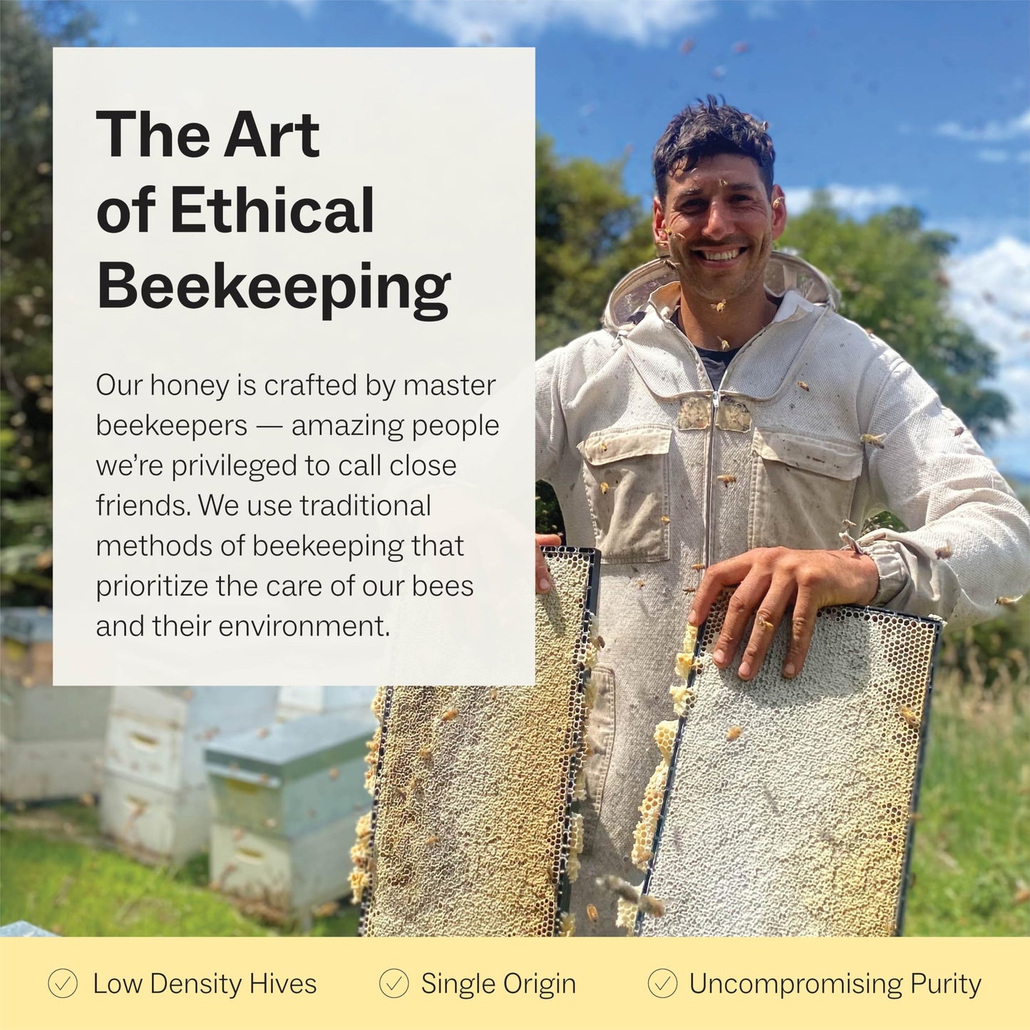 Manukora Raw Manuka Honey, MGO 50+, New Zealand Honey, Non-GMO, Traceable from Hive to Hand, Daily Wellness Support - 250g (8.82 Oz)