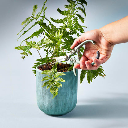 Modern Sprout Pruning Shears - Herb Snipping Scissors- Lightweight Gardening Tools W/Easy Lock - Flower Cutter Garden Shears - Carbon Steel Blade + Reusable Holster (Green, 1-Pack)