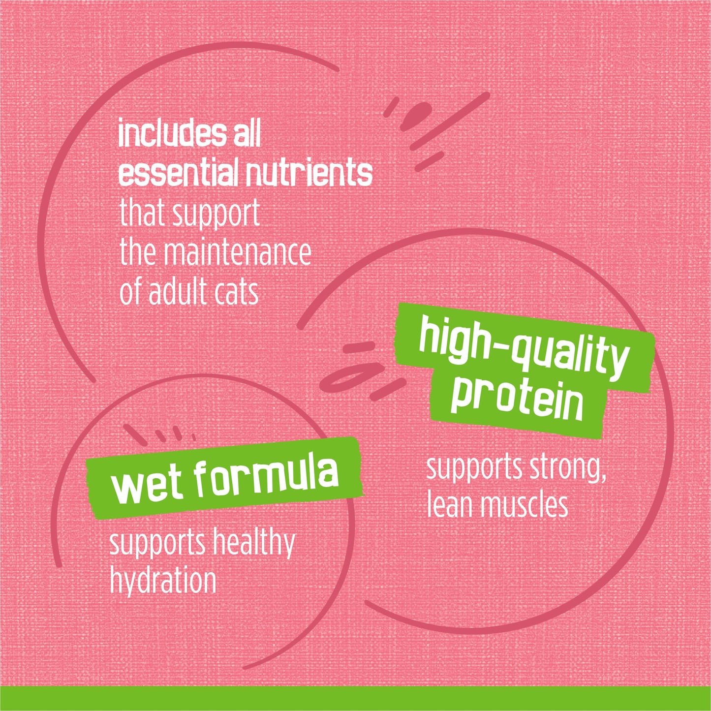 Purina Friskies Wet Cat Food Pate, Pate Salmon Dinner - (Pack of 24) 5.5 oz. Cans