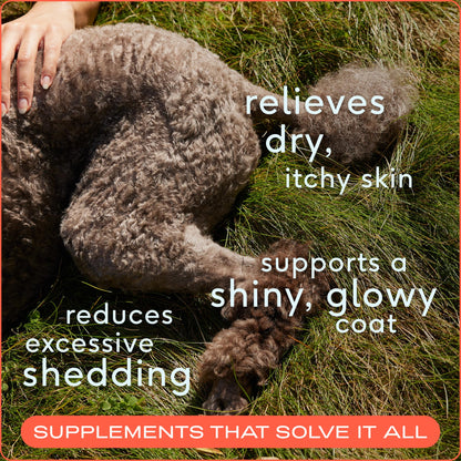 Native Pet Omega 3 Fish Oil for Dogs & Cats - Promotes Healthy Skin, Shiny Coat, & Strong Joints - Made with Wild Alaskan Salmon Oil for Dogs – Tasty, Fast-Absorbing Omega 3 6 9 Liquid Supplement-16oz