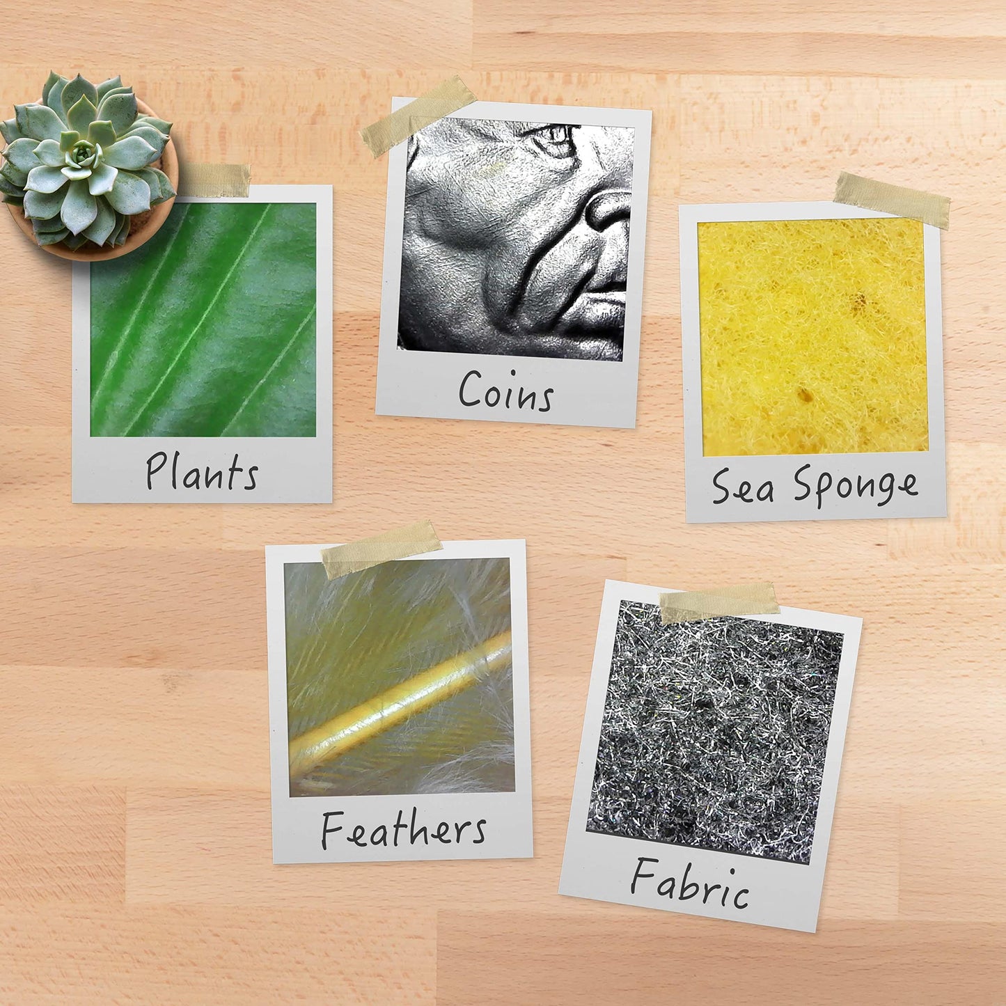 Plugable USB Digital Microscope 250x, 2MP Micro Camera with Flexible Arm Stand - Handheld USB & USB-C Microscope for Adults & Kids, Windows, Mac, ChromeOS, Linux, Android, iPad Compatible