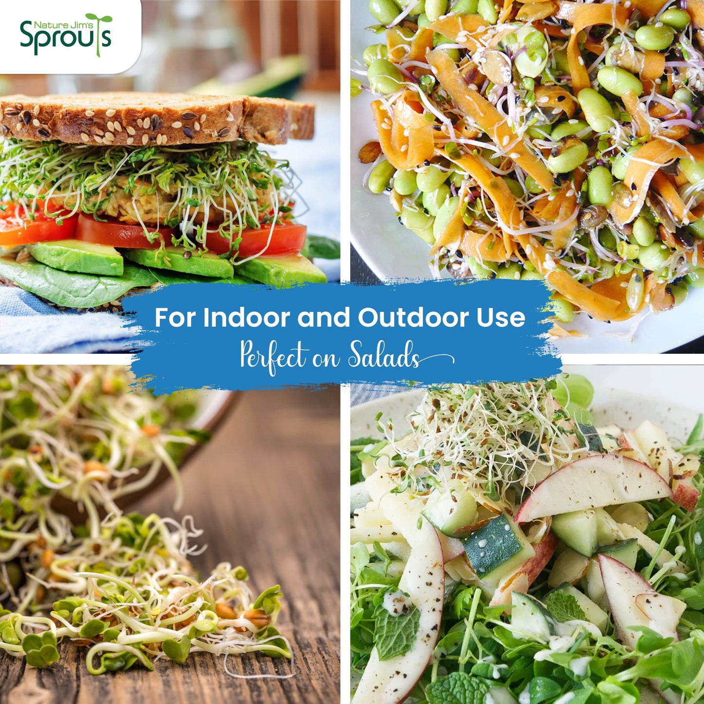 Nature Jims Sprouts alfalfa Seeds – 16 Oz Organic Sprouting Seeds – Non-GMO Premium Alfalfa Seeds – Resealable Bag for Longer Freshness – Rich in Vitamins, Minerals, Fiber