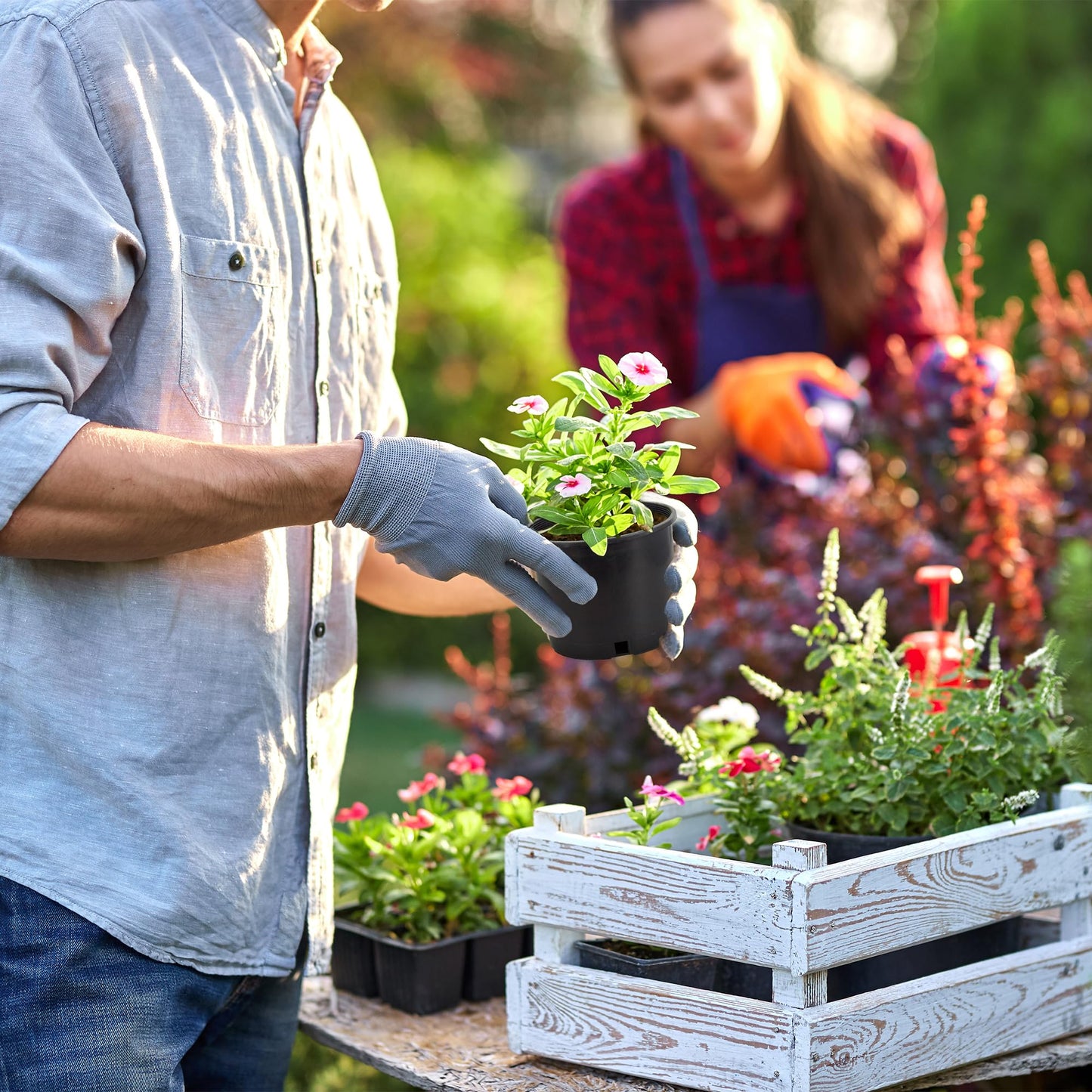 Pro Cal HGPK5PHD Round Circle 5 Gallon Wide Rim Durable Injection Molded Plastic Garden Plant Nursery Pot for Indoor or Outdoor (Set of 5)